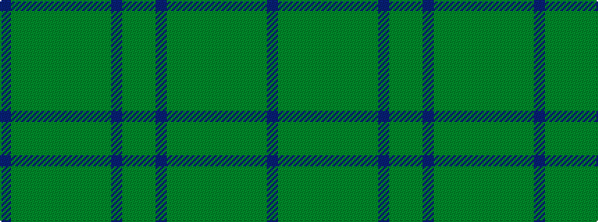 idealised woven sample of pattern BGGGGGGGGGBGG