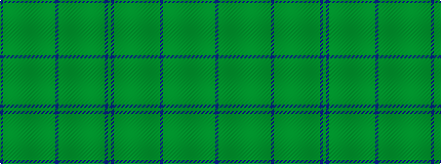 idealised woven sample of pattern BGGGGGGGGGGGGGGGGGBGGGGGGGGGGGGGGGBG