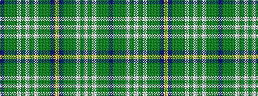idealised woven sample of pattern BGGGWGWGWGGGBY