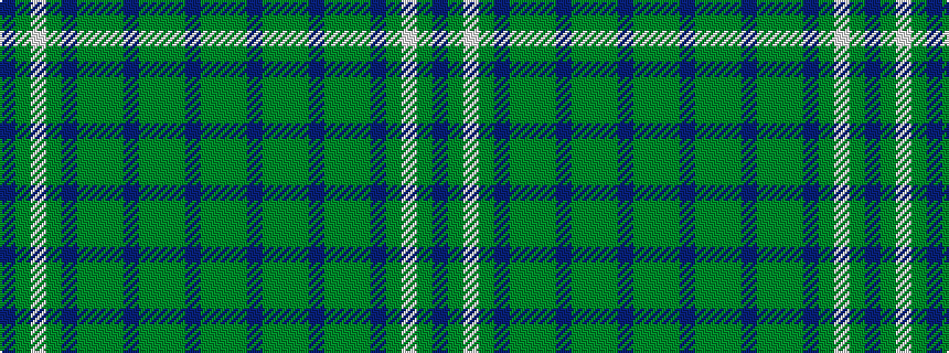 idealised woven sample of pattern BGWGBGGGBGGGBGG