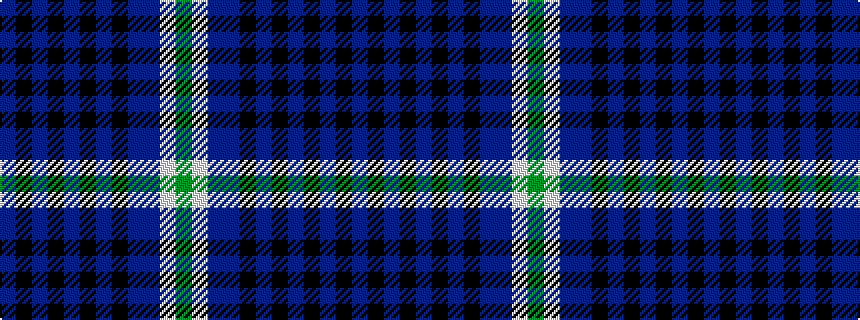 idealised woven sample of pattern BKBKBKBKBBWG