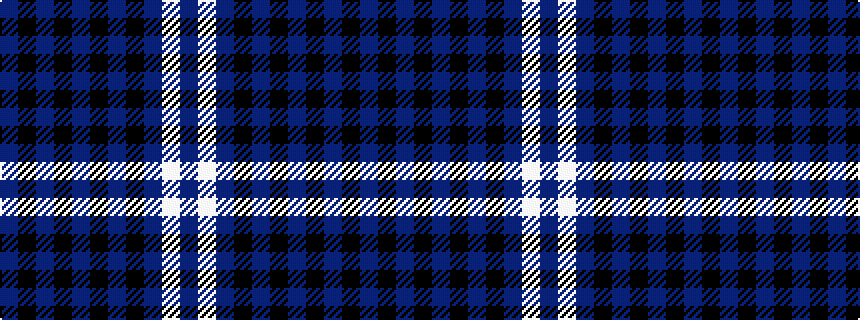 idealised woven sample of pattern BKBKBKBKBWB