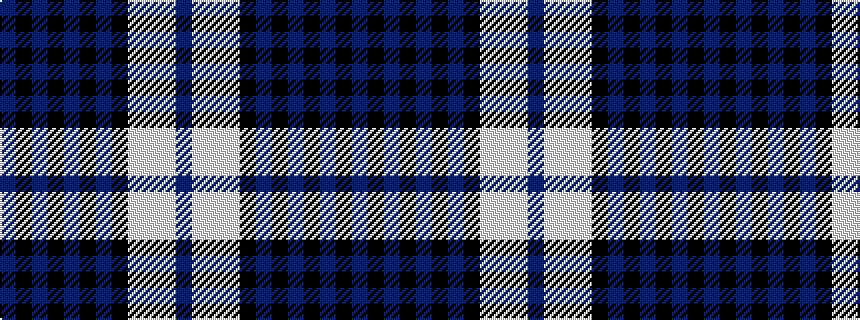 idealised woven sample of pattern BKBKBKBKWWWB