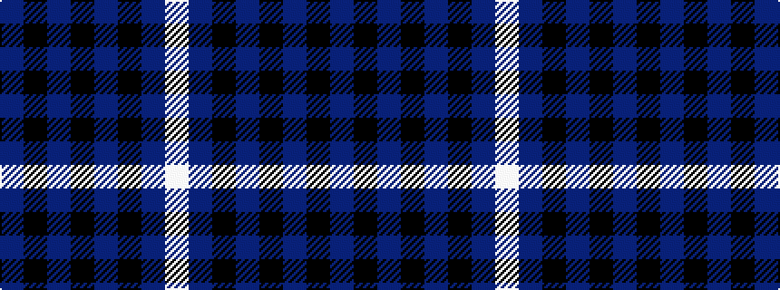idealised woven sample of pattern BKBKBKBW