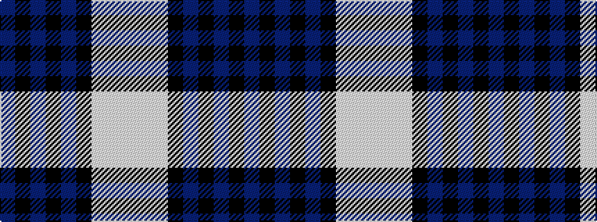 idealised woven sample of pattern BKBKBKWWW