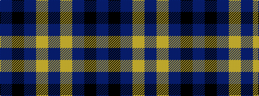 idealised woven sample of pattern BKBYB