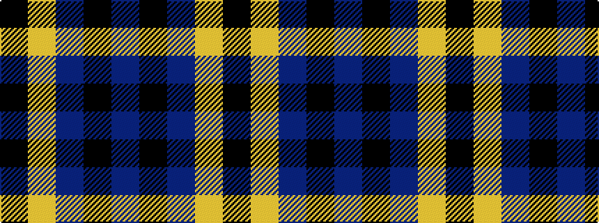idealised woven sample of pattern BKBYK