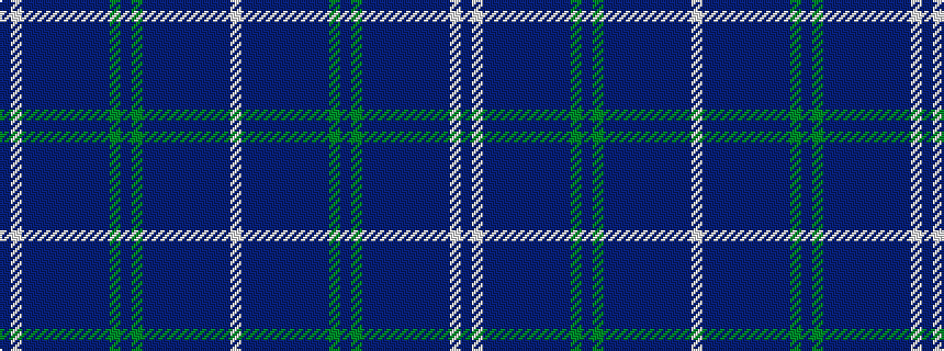idealised woven sample of pattern BWBBBBBBBBGBGBBBBBBBBW