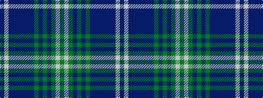 idealised woven sample of pattern BWBBBBBBGBGBGWG