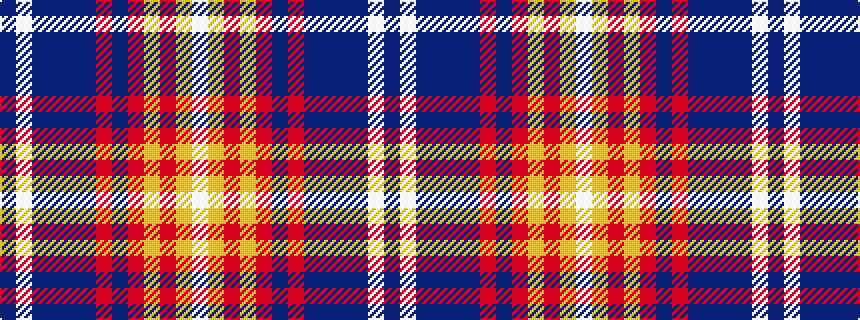 idealised woven sample of pattern BWBBBBRBRYRYW