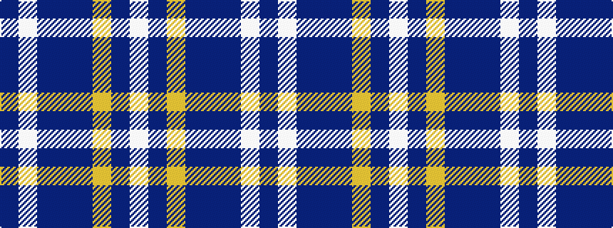 idealised woven sample of pattern BWBBBYBW