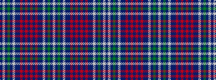 idealised woven sample of pattern BWBGBWBBRBRBRBRBBWBGBW