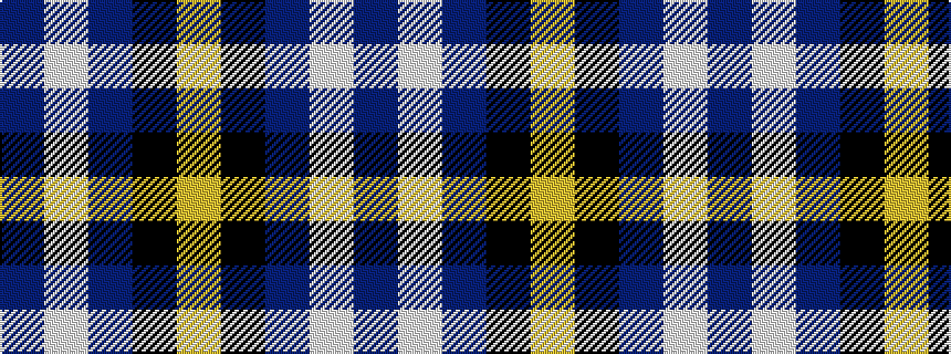 idealised woven sample of pattern BWBKY