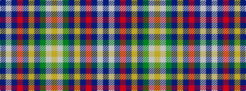 idealised woven sample of pattern BWBRBYBGWY