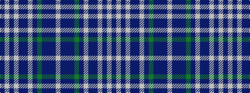 idealised woven sample of pattern BWBWBBWBGBBBW