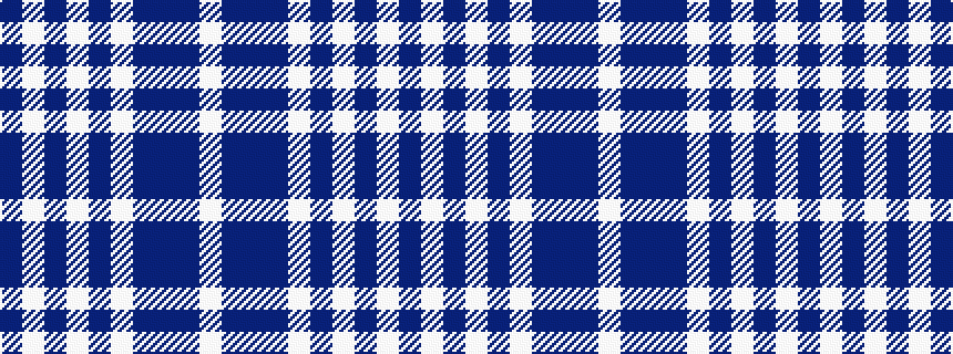idealised woven sample of pattern BWBWBWBBBW