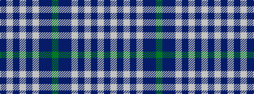 idealised woven sample of pattern BWBWBWBBG