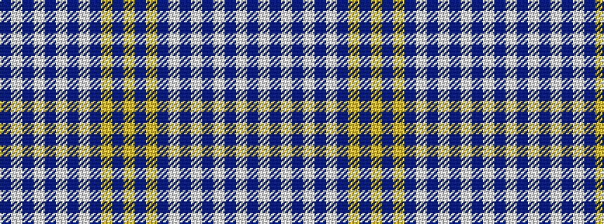 idealised woven sample of pattern BWBWBWBWBYBY