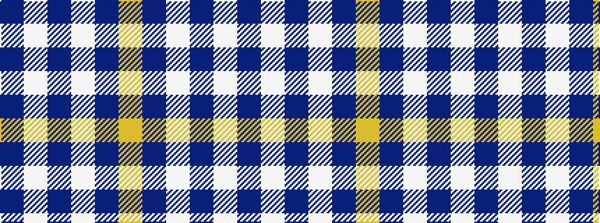 idealised woven sample of pattern BWBWBY