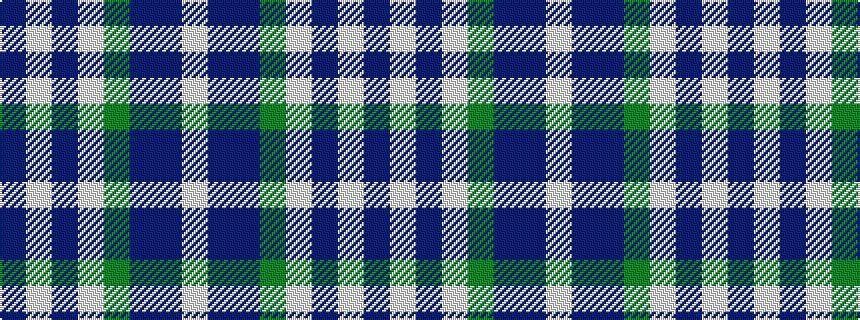 idealised woven sample of pattern BWBWGBBW