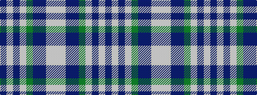 idealised woven sample of pattern BWBWGBBWW