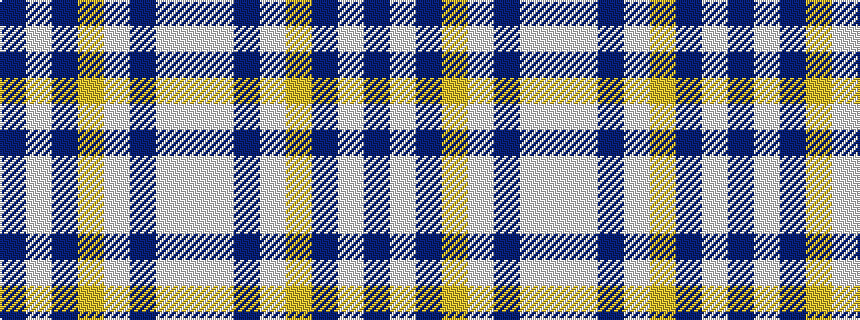 idealised woven sample of pattern BWBYWBWW