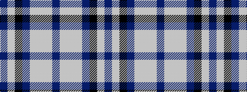 idealised woven sample of pattern BWKBWWWB