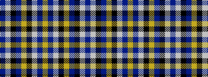 idealised woven sample of pattern BWKBYKWBY