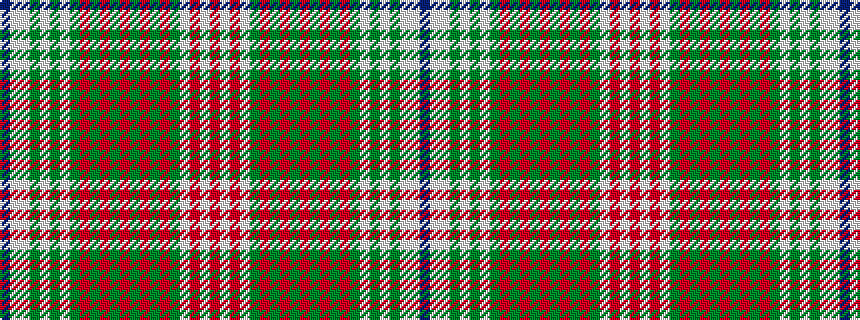 idealised woven sample of pattern BWWGWGWGRGRGRGRGRGWRWR