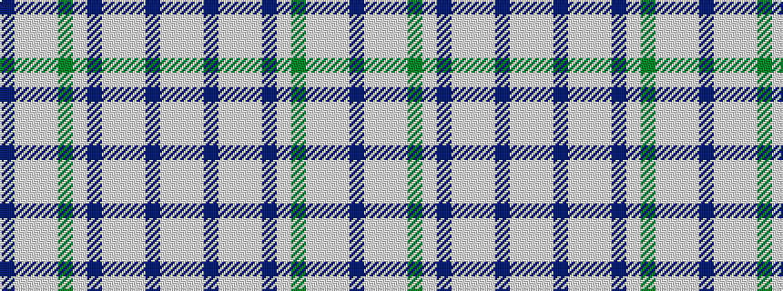 idealised woven sample of pattern BWWWGWBWWWBWW