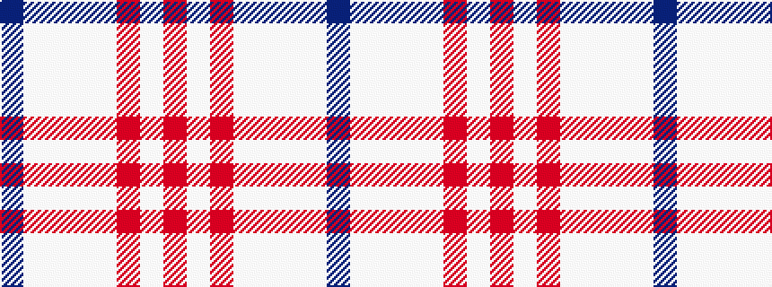idealised woven sample of pattern BWWWWRWR