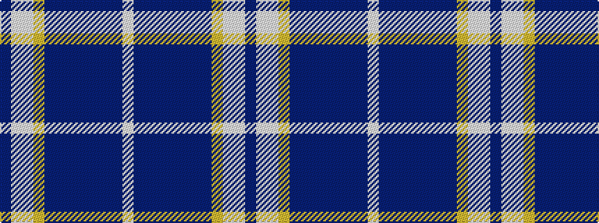 idealised woven sample of pattern BWWYBBBBBBBW