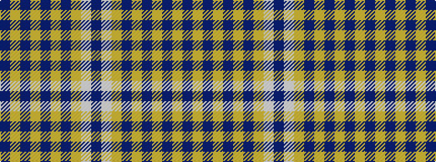 idealised woven sample of pattern BWYBYBYBYB