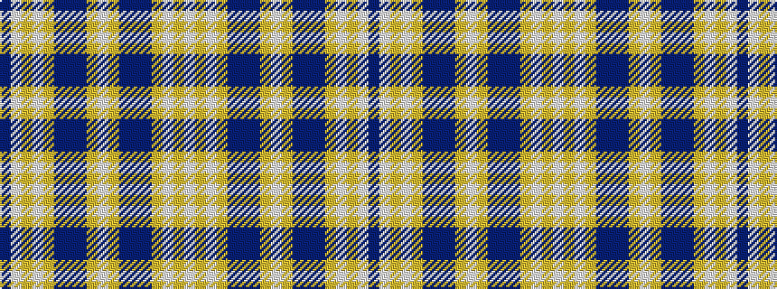 idealised woven sample of pattern BWYWYBBBYWYBBBYWYW