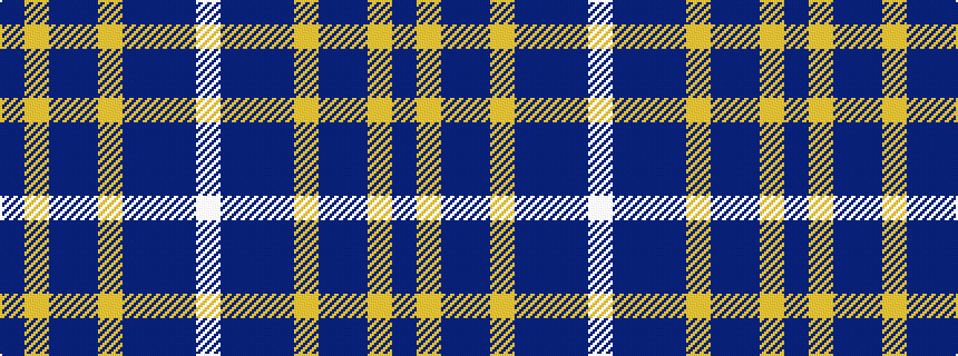 idealised woven sample of pattern BYBBYBBBW