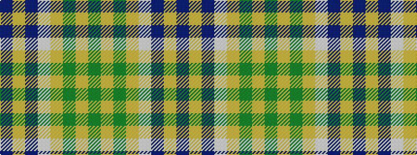 idealised woven sample of pattern BYBWYGYG