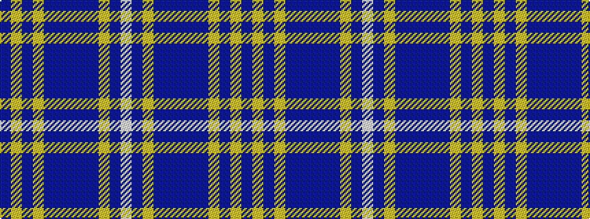 idealised woven sample of pattern BYBYBBBBBYBW
