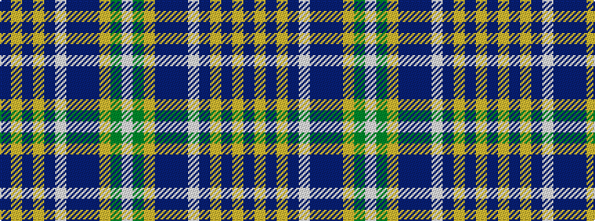 idealised woven sample of pattern BYBYBWBBBYGW