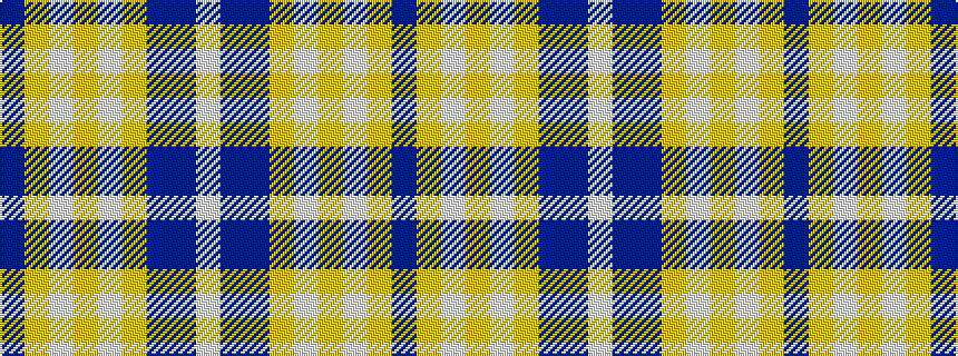 idealised woven sample of pattern BYWYWYBBW