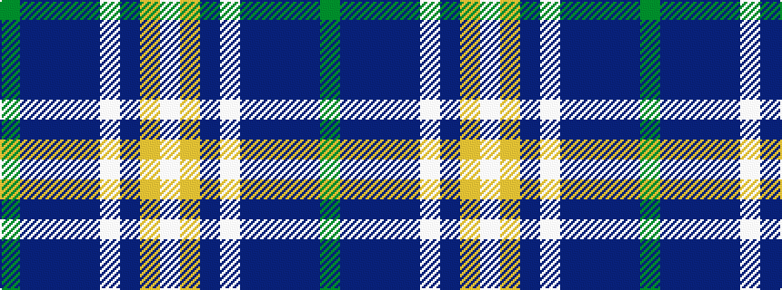 idealised woven sample of pattern GBBBBWBYW