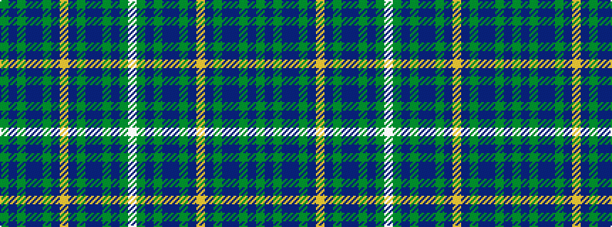 idealised woven sample of pattern GBGBBGBYBGBBGBGW