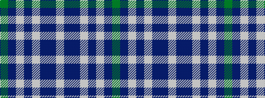 idealised woven sample of pattern GBWBWBBW
