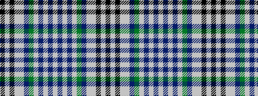 idealised woven sample of pattern KWKWWBGWBWBW