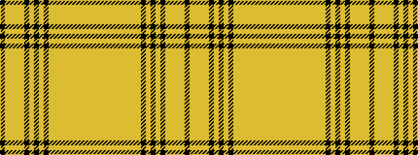 idealised woven sample of pattern KYYYYKYKYKYYYYYYYYYY