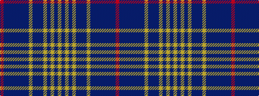 idealised woven sample of pattern RBBBBBBBYBBBYBYBY