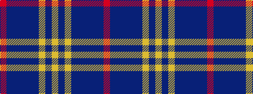 idealised woven sample of pattern RBBBBBYBY