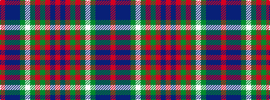 idealised woven sample of pattern RBBBGWGRGRBR