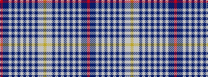 idealised woven sample of pattern RBBWBWBWBWBWBWWY