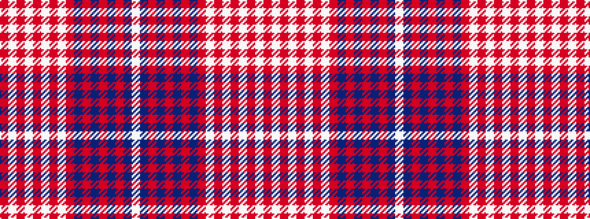 idealised woven sample of pattern RWRWRWRWRBRBRBRBW