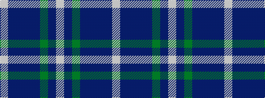 idealised woven sample of pattern WBBBBGBW